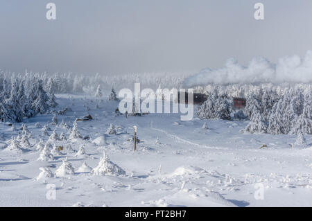 Treno a vapore sul modo di Brocken, Harz, attraverso il paesaggio invernale Foto Stock