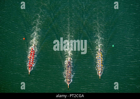 La formazione di dragon boat sulla Ruhr a Kupferdreh, Essen, la zona della Ruhr, Renania settentrionale-Vestfalia, Germania, Europa Foto Stock