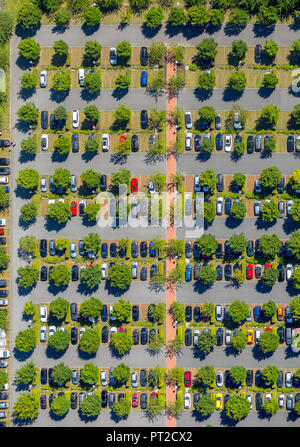 Parcheggio OLG Hamm, Alta Corte Regionale Hamm, vetture sotto alberi decidui, alberi decidui e colorati di automobili, pattern, verdi alberi, automobili parcheggiate, Hamm, la zona della Ruhr, Nord Reno-Westfalia, Germania Foto Stock