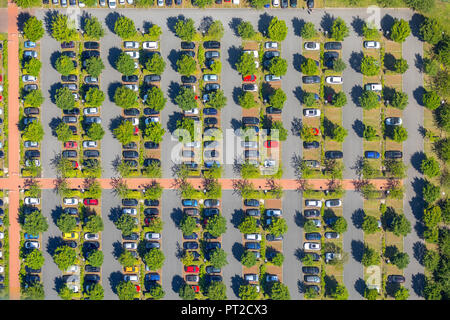 Parcheggio OLG Hamm, Alta Corte Regionale Hamm, vetture sotto alberi decidui, alberi decidui e colorati di automobili, pattern, verdi alberi, automobili parcheggiate, Hamm, la zona della Ruhr, Nord Reno-Westfalia, Germania Foto Stock