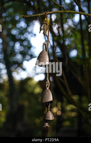 Un piccolo giardino pensile di ornamento da un ramo di albero all'aperto nella foresta. Il carillon del vento soffia delicatamente nella brezza dalla sua stringa. Foto Stock