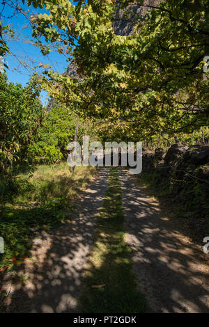 Faja dos Padres - 2018 - Isola di Madeira Foto Stock