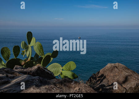 Faja dos Padres - 2018 - Isola di Madeira Foto Stock