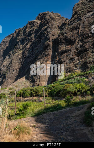 Faja dos Padres - 2018 - Isola di Madeira Foto Stock