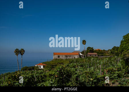 Faja dos Padres - 2018 - Isola di Madeira Foto Stock