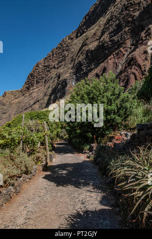 Faja dos Padres - 2018 - Isola di Madeira Foto Stock