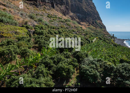 Faja dos Padres - 2018 - Isola di Madeira Foto Stock