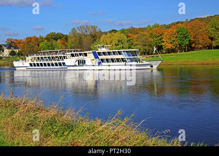 Escursione in barca sul fiume Elba vicino a Pillnitz, parte di Dresda, Sassonia, Germania Foto Stock