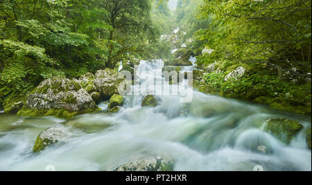 Lepenjica, Lepena Valley, il Parco Nazionale del Triglav, Slovenia Foto Stock