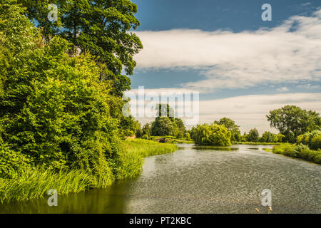 Cudsworth rurale di Doncaster, nello Yorkshire Ray Boswell Foto Stock