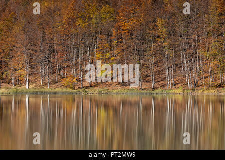 Gli alberi si riflette nel lago Pranda, provincia di Reggio Emilia, Emilia Romagna distretto, Italia, Europa Foto Stock