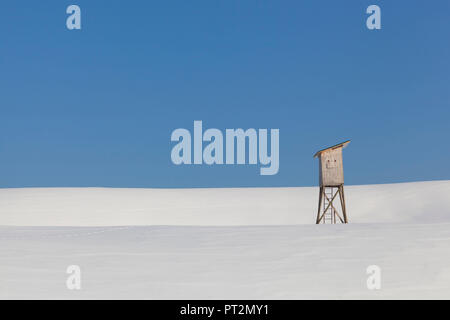 Stazione di avvistamento fro animali selvatici nei pascoli di Mezzomiglio, Cansiglio foresta, Prealpi Bellunesi, Farra d'Alpago, provincia di Belluno, Veneto, Italia Foto Stock