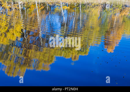 Orsiera Rocciavre Park, la Valle di Susa, distretto di Torino, Piemonte, Italia, Autunno presso il lago paradiso delle Rane Foto Stock