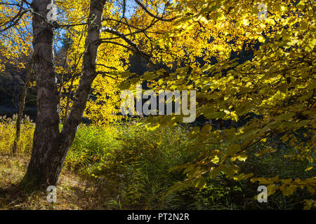 Orsiera Rocciavre Park, la Valle di Susa, distretto di Torino, Piemonte, Italia, Autunno presso il lago paradiso delle Rane Foto Stock