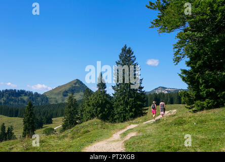 Salisburgo, Austria Membro, Salzkammergut, Postalm, escursionista Foto Stock