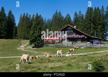 Salisburgo, Austria Membro, Salzkammergut, Postalm, Huber hut Foto Stock