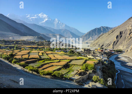 Il Nepal, l'Himalaya, Mustang distretto, Annapurna circuito, Mustang Superiore Trek, Kali Gandaki, Valley, Kagbeni Foto Stock