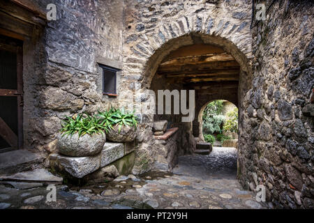 Pavimentazione di pietra, aloe vera piante in contenitore in pietra e arco in pietra Foto Stock