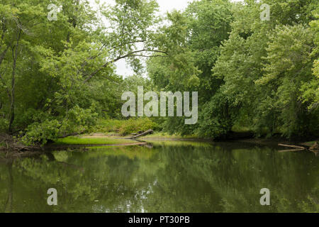 Tarda estate sul fiume di Ipswich in Topsfield, Massachusetts Foto Stock