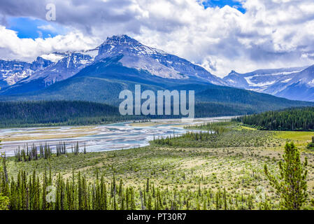 Saskatchewan Varcando il fiume, Parco Nazionale di Banff, Alberta, Canada Foto Stock