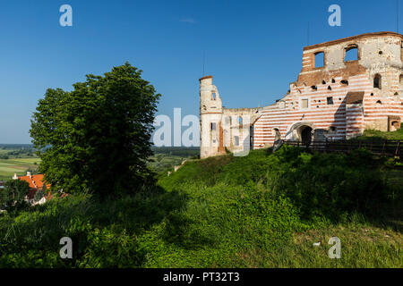 L'Europa, Polonia, Lublino voivodato, Castello Janowiec Foto Stock