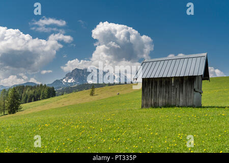 Mittenwald, distretto di Garmisch-Partenkirchen, Alta Baviera, Germania, Europa, vista dal hummocky prati per le montagne del Wetterstein Foto Stock