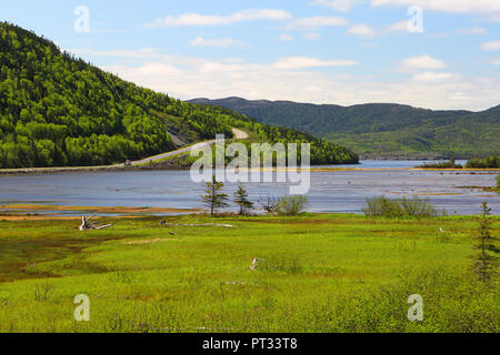 Lungo il sentiero Viking, Route 430 N, Terranova - Labrador, Canada. Foto Stock