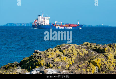 Olio di Procida e chimichiera visto da Fidra Isola con Isola di maggio in distanza, Firth of Forth, East Lothian, Scozia, Regno Unito Foto Stock