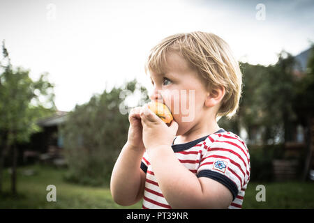 Il Toddler, due-anno-vecchio con la rossa e bianca a strisce tee, mangiando un Apple Foto Stock