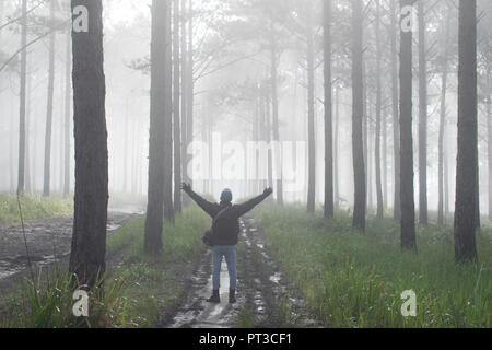 Viaggio di Scoperta nel sentiero della foresta di pini, Vietnam. Sfondo con magic sunray, luce, nebbia fitta e aria fresca all'alba Foto Stock