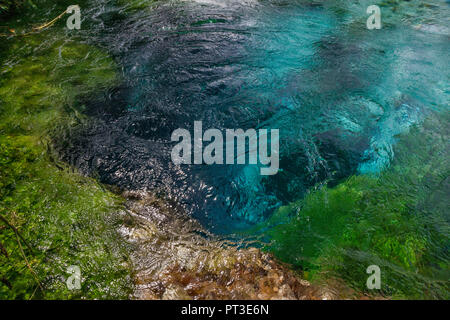 Blue Eye (Syri i Kalter, Azure occhio), acqua primavera, la sorgente del fiume Bistrice (Bistrica), vicino Muzine, Albania Foto Stock