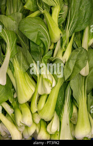 Preparati commerciali di foglie di insalata Foto Stock