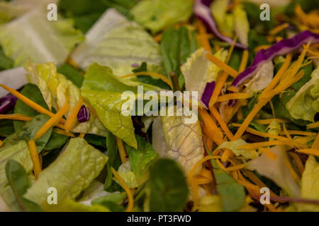 Preparati commerciali di foglie di insalata Foto Stock