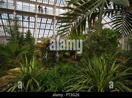 All'interno della Casa Clima temperato in Royal Botanic Gardens di Kew Gardens Londra Inghilterra REGNO UNITO Foto Stock