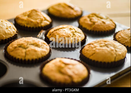 Vassoio da forno con muffin ai mirtilli Foto Stock