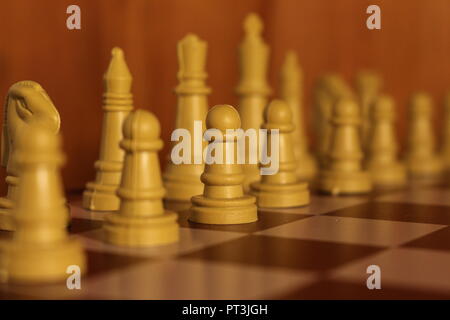 Pezzi degli scacchi Foto Stock
