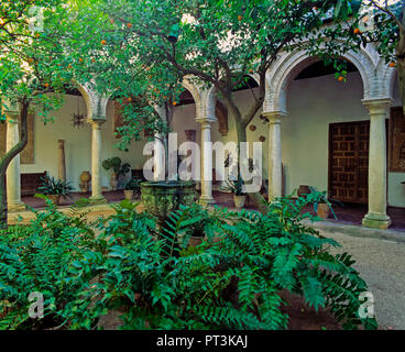 Palazzo dei Marchesi di Viana (chiamato anche Palacio de las Rejas de Don Gome) - Il cortile della cappella. Cordoba. Regione dell'Andalusia. Spagna. Unione europea Foto Stock