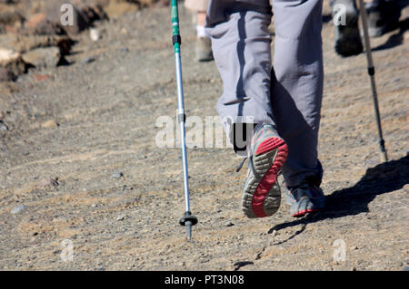 Close-up delle gambe di un escursionista preparato a percorrere un cammino in montagna Foto Stock