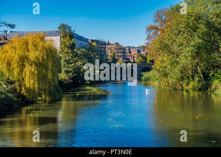 Fiume apprendere,passando attraverso,Jephson Gardens,Royal Leamington Spa,Warwickshire Foto Stock