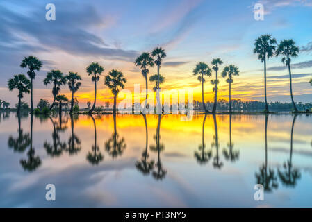Sunrise colorati con alte palme che si elevano fino al cielo drammatico belle nuvole e silhouette riflettere sull'acqua di superficie nelle zone rurali del Delta del Mekong Foto Stock