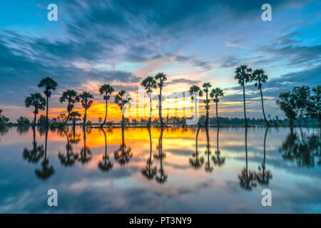 Sunrise colorati con alte palme che si elevano fino al cielo drammatico belle nuvole e silhouette riflettere sull'acqua di superficie nelle zone rurali del Delta del Mekong Foto Stock