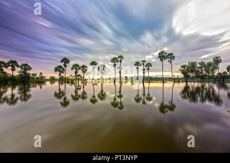 Sunrise colorati con alte palme che si elevano fino al cielo drammatico belle nuvole e silhouette riflettere sull'acqua di superficie nelle zone rurali del Delta del Mekong Foto Stock