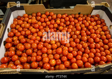 La produzione alimentare nel Regno Unito - frutta, verdure, insalate preparate, vita sana Foto Stock