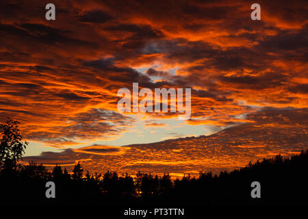 Nubi accese arancione con un foro fallstreak nel mezzo. Silhouette di alberi di seguito. Foto Stock