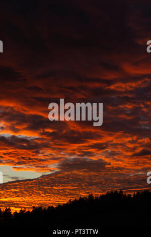 Nubi accese di arancione dal tramonto, gradiente da più scuro a più luminoso. Foro Fallstreak con cielo blu in basso a sinistra. Foto Stock