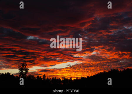 Nubi accese arancione con foro punzonato il cloud nel mezzo. Silhouette di alberi di seguito. Foto Stock