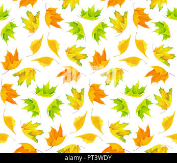 Seamless pattern colorati con foglie di autunno isolato su sfondo bianco con tracciato di ritaglio Foto Stock