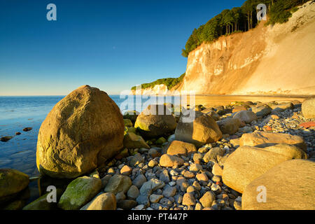 Germania, Meclemburgo-Pomerania, Rügen Isola, Jasmund National Park, chalk cliffs nella calda luce del sole di mattina, grandi massi sulla spiaggia Foto Stock