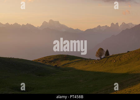 Pelmo e Bosconero gruppi da Costa montare al tramonto, Mezzomiglio, il Cansiglio, Prealpi Bellunesi, Farra d'Alpago, provincia di Belluno, Veneto, Italia Foto Stock