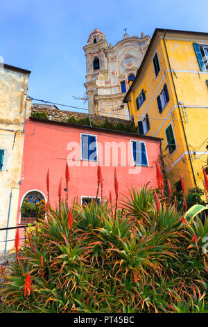 Fiori tra le case colorate di Cervo, provincia di Imperia, Liguria, Italia, Europa Foto Stock